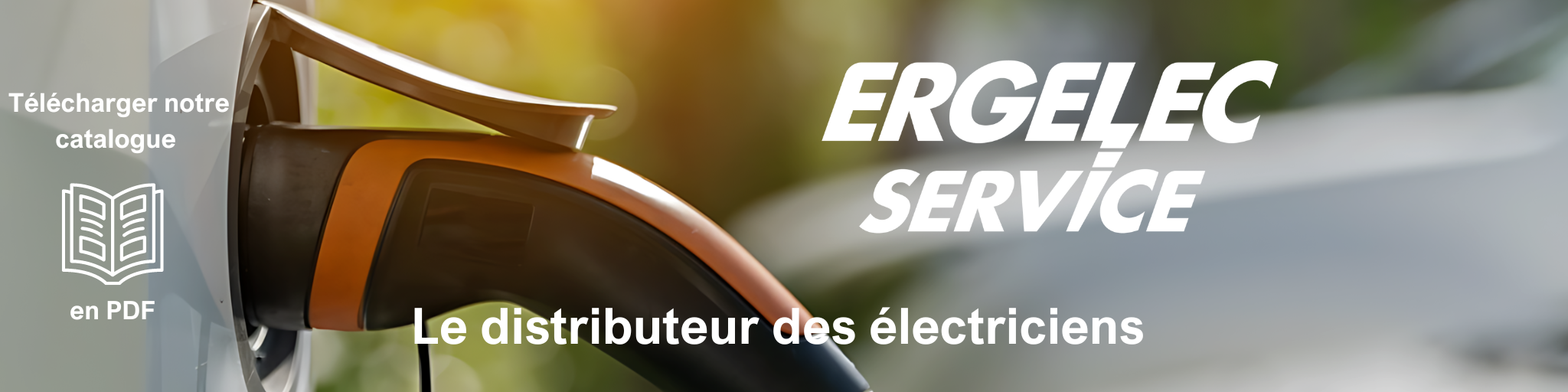 Ergelec Service